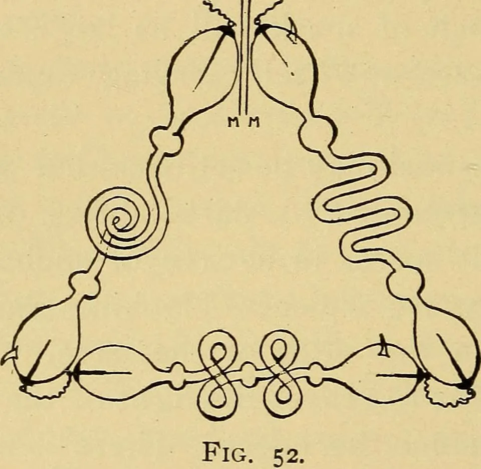 An illustration from Induction coils : how to make, use, and repair them including Ruhmkorff, Tesla, and medical coils, Roentgen radiography, wireless telegraphy, and practical information on primary and secondary battery, 1901, leaf 187