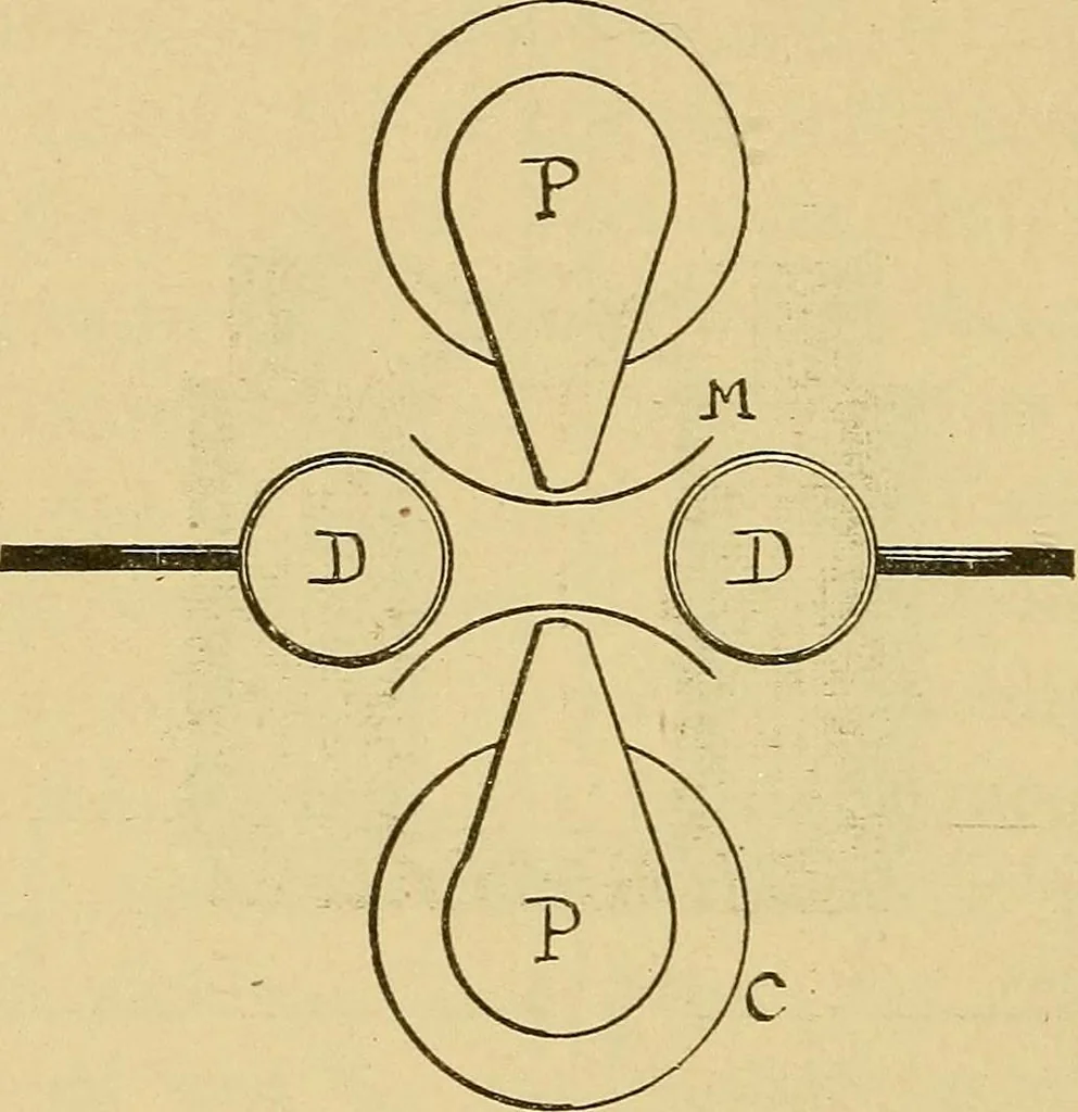 An illustration from Induction coils : how to make, use, and repair them including Ruhmkorff, Tesla, and medical coils, Roentgen radiography, wireless telegraphy, and practical information on primary and secondary battery, 1901, leaf 259