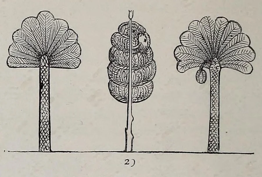 An illustration from The industrial arts of India, 1880, leaf 548