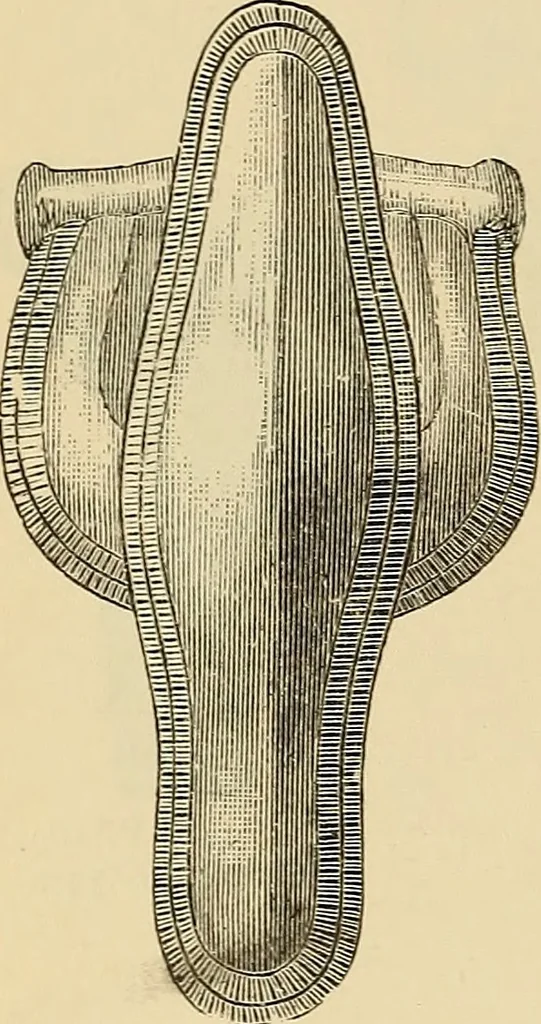 An illustration from The industrial arts of Scandinavia in the pagan time, 1883, leaf 41