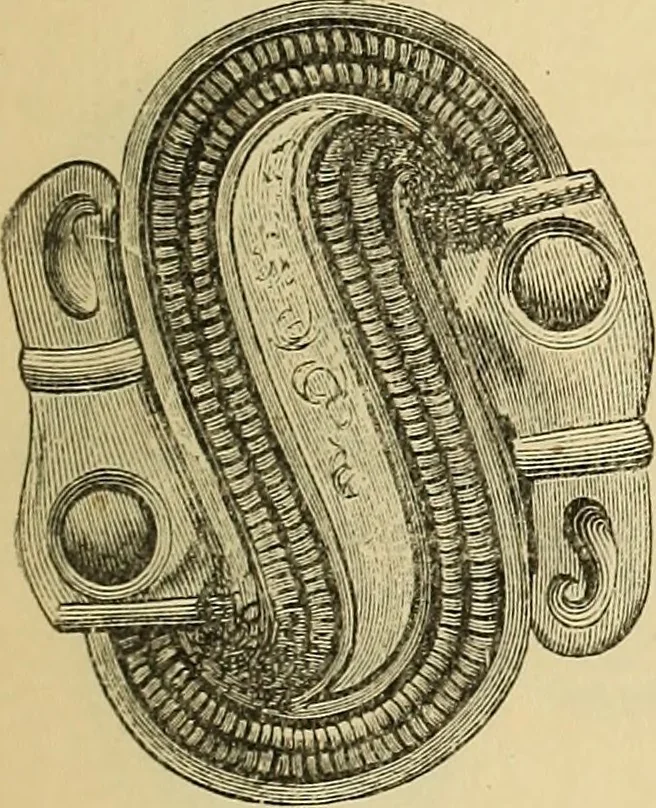 An illustration from The industrial arts of Scandinavia in the pagan time, 1883, leaf 48