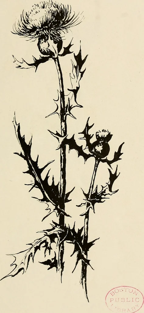 An illustration from Industrial drawing for girls : design principles applied to dress, 1912, leaf 18