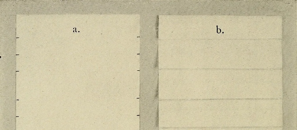 An illustration from Industrial drawing for girls : design principles applied to dress, 1912, leaf 27