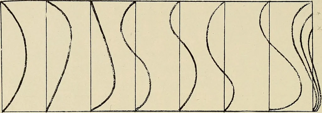 An illustration from Industrial drawing for girls : design principles applied to dress, 1912, leaf 35
