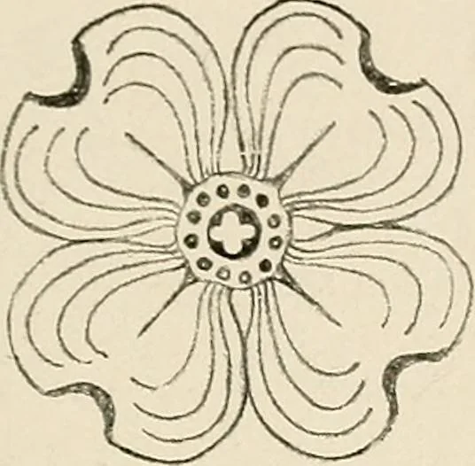 An illustration from Industrial drawing for girls : design principles applied to dress, 1912, leaf 42