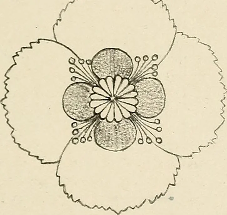 An illustration from Industrial drawing for girls : design principles applied to dress, 1912, leaf 42