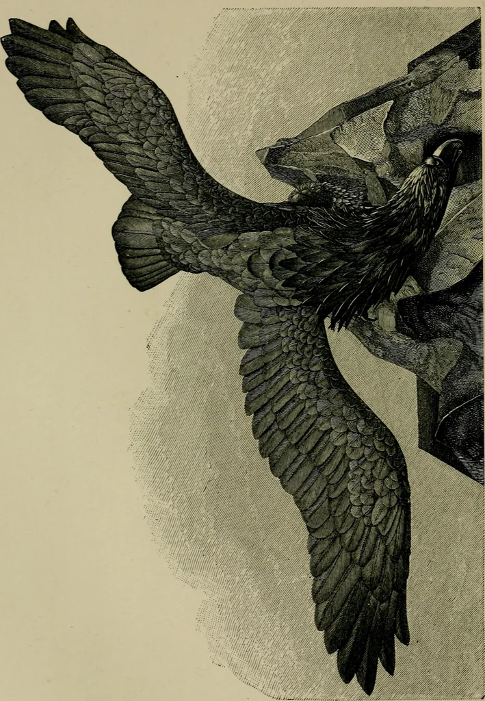 An illustration from The industries of Japan : together with an account of its agriculture, forestry, arts, and commerce. From travels and researches undertaken at the cost of the Prussian government, 1889, leaf 483
