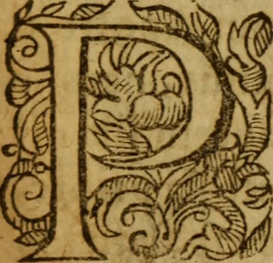 An illustration from In epistolam S. Pauli apostoli ad Romanos, Roberti Rolloci ..., commentarius .., 1595, leaf 26