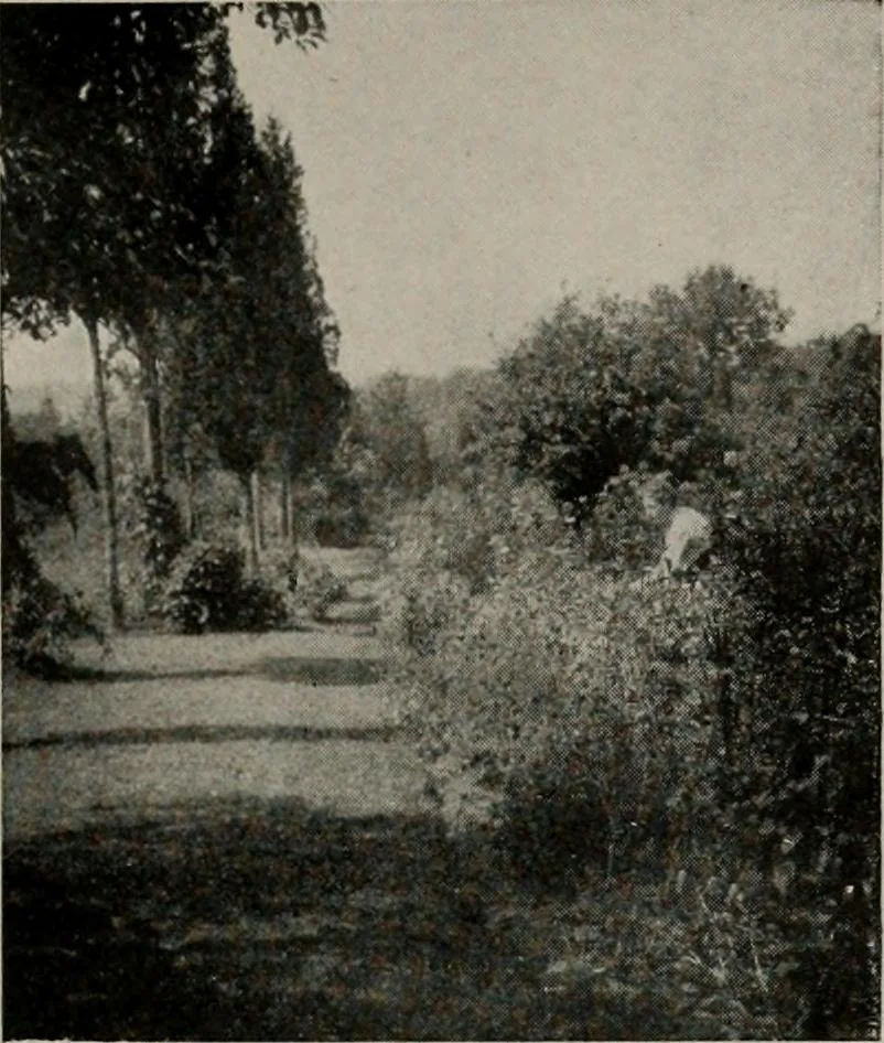 An illustration from Inexpensive homes of individuality : being a collection of photographs and floor plans illustrating certain of America's best country and suburban homes of moderate size, 1911, leaf 46
