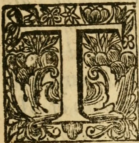 An illustration from Infant-baptism from Heaven, and not of men : or, A moderate discourse concerning the baptism of the infant-seed of believers .., 1670, leaf 794