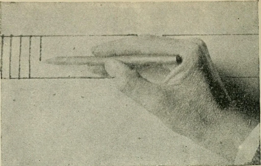 An illustration from The infant school; its principles and methods, 1904, leaf 323