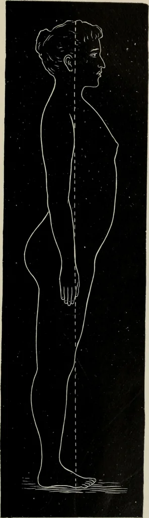 An illustration from The influence of dress in producing the physical decadence of American women : annual address upon obstetrics and gynecology, 1891, leaf 60