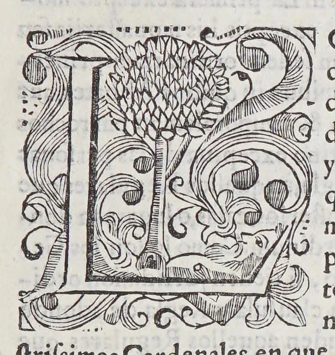 An illustration from Informacion en derecho. : En defensa de la exempcion absoluta que las religiones tienen de los ordinarios, y de la especial de que los doctrinantes religiosos no sean por ellos visitados de costumbres, ni examinados en el idioma., 1621, leaf 25