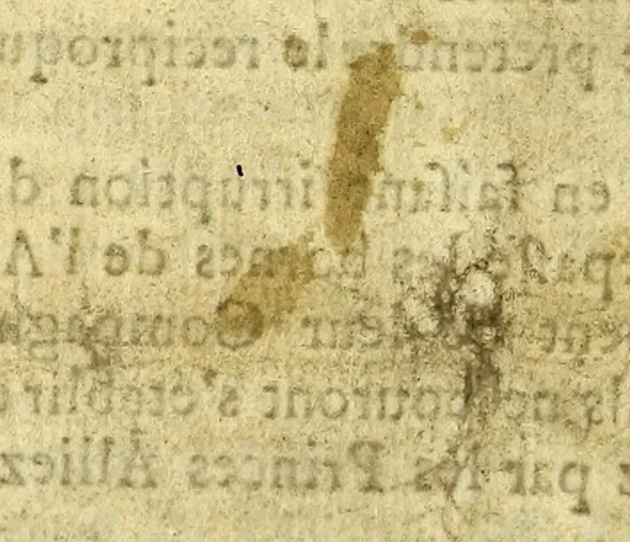 An illustration from Information concernant l'affaire de Darien, 1699, leaf 20