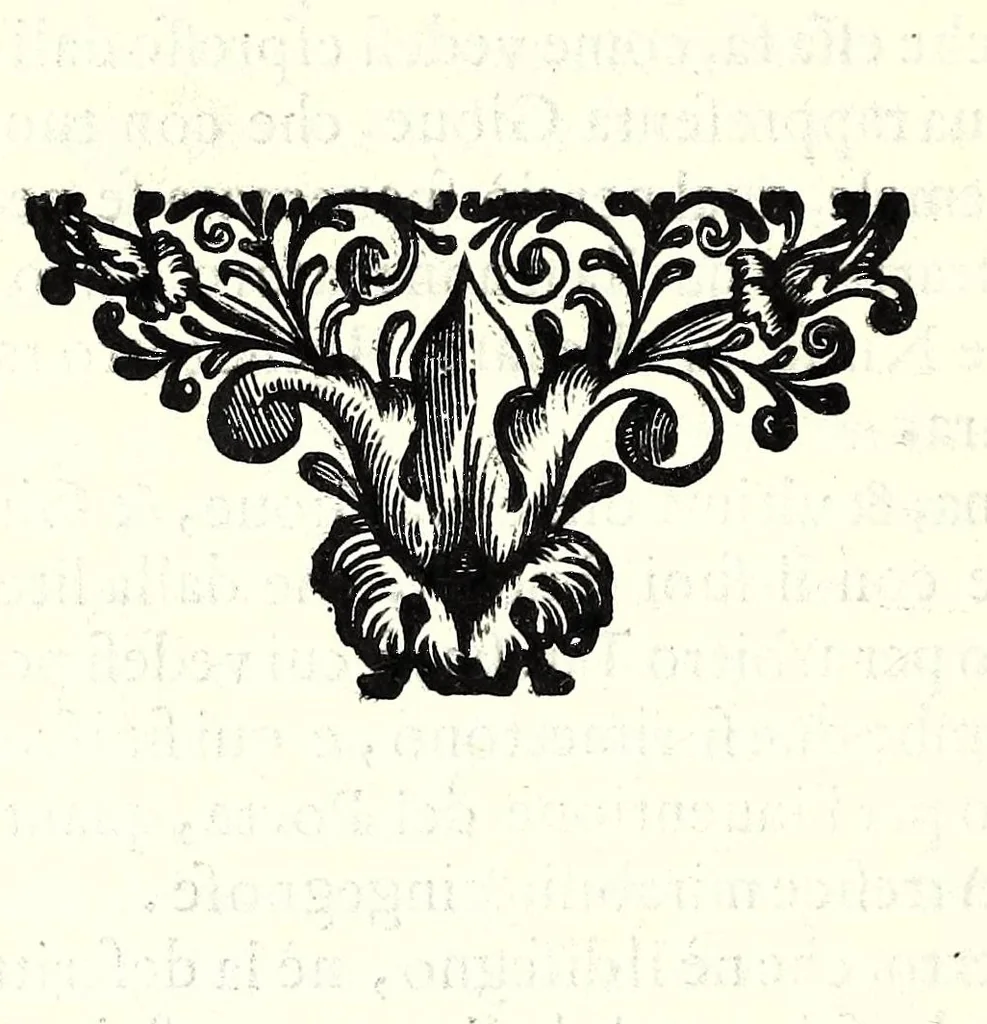 An illustration from Informatione a regi, e gran prencipi, d'vn padiglione da letto di forma quadra à sua proportione, ben composto pretioso, & superbissimo : che si ritroua in casa di Francesco Sorbellone ricamatore in Milano, 1625, leaf 32