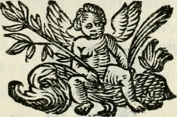 An illustration from In funere illustr.mi ac reuer.mi dd. Caroli Bouii episcopi sarsinatensis oratio, 1646, leaf 25