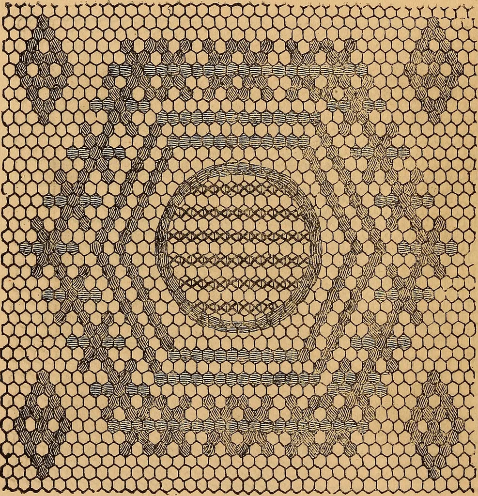 An illustration from Ingalls' hand-book of darned lace patterns .., 1885, leaf 15