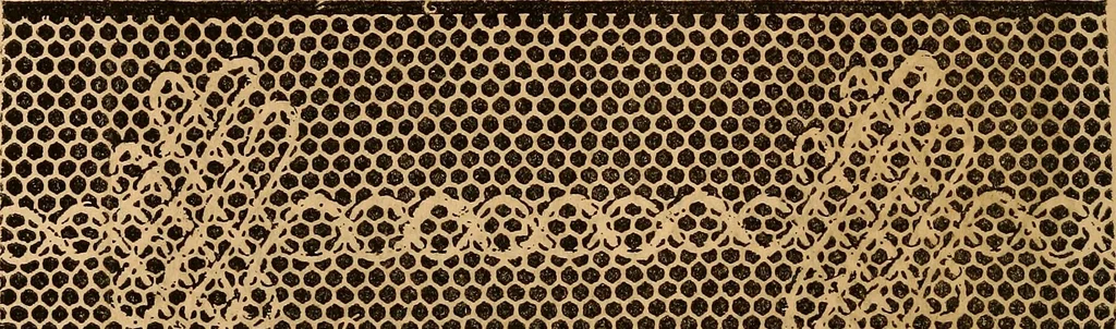 An illustration from Ingalls' hand-book of darned lace patterns .., 1885, leaf 25