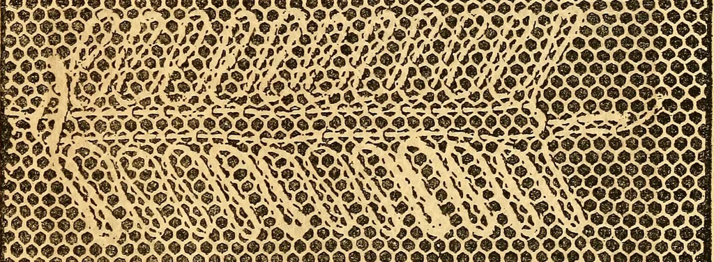 An illustration from Ingalls' hand-book of darned lace patterns .., 1885, leaf 26