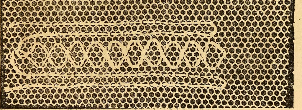 An illustration from Ingalls' hand-book of darned lace patterns .., 1885, leaf 26