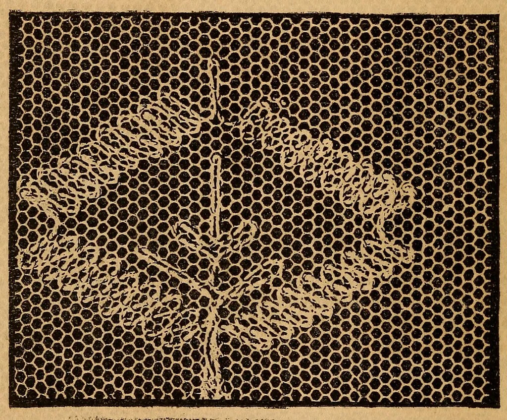 An illustration from Ingalls' hand-book of darned lace patterns .., 1885, leaf 27