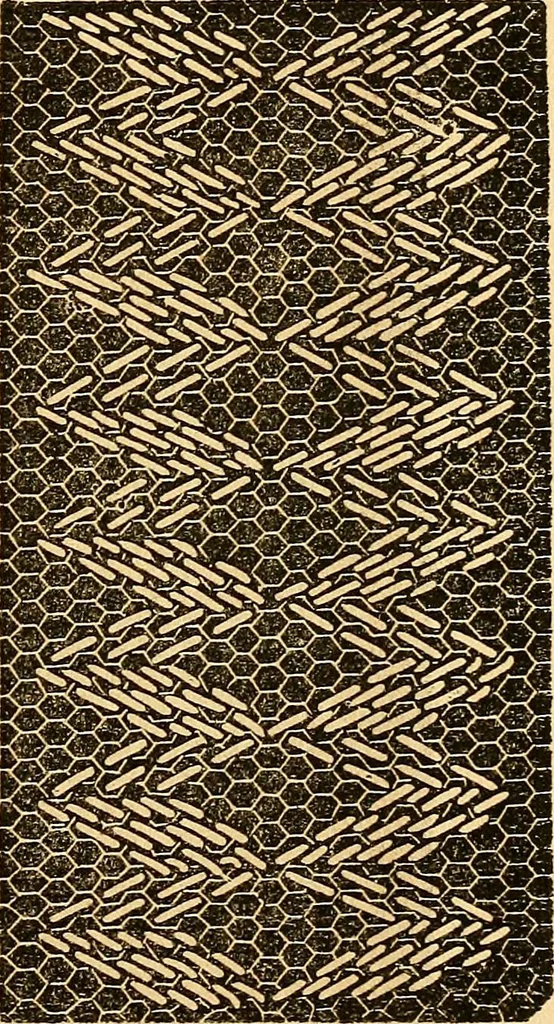 An illustration from Ingalls' hand-book of darned lace patterns .., 1885, leaf 28
