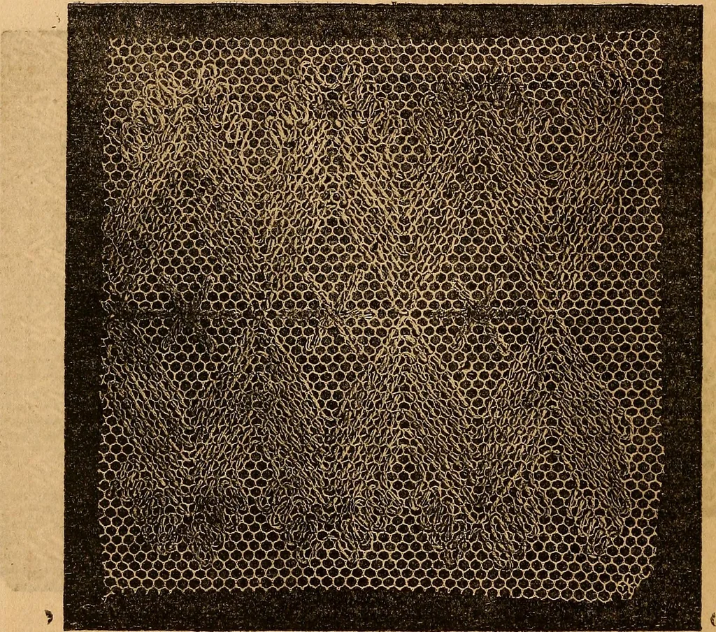 An illustration from Ingalls' hand-book of darned lace patterns .., 1885, leaf 29