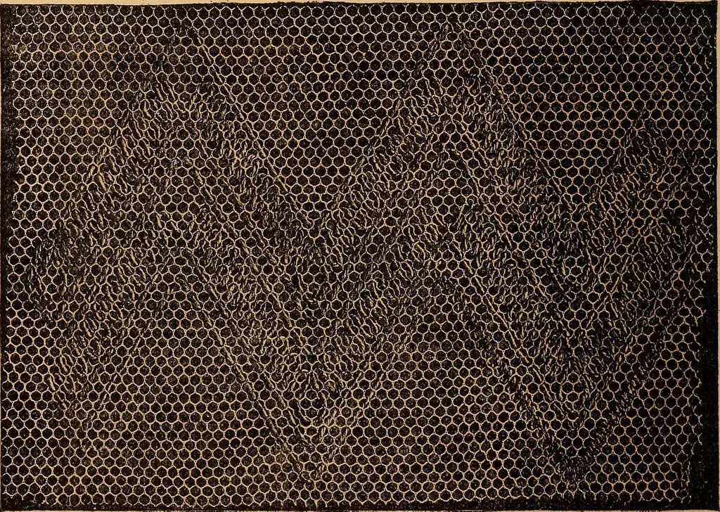 An illustration from Ingalls' hand-book of darned lace patterns .., 1885, leaf 31