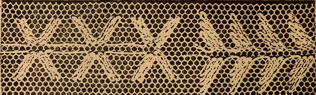 An illustration from Ingalls' hand-book of darned lace patterns .., 1885, leaf 35