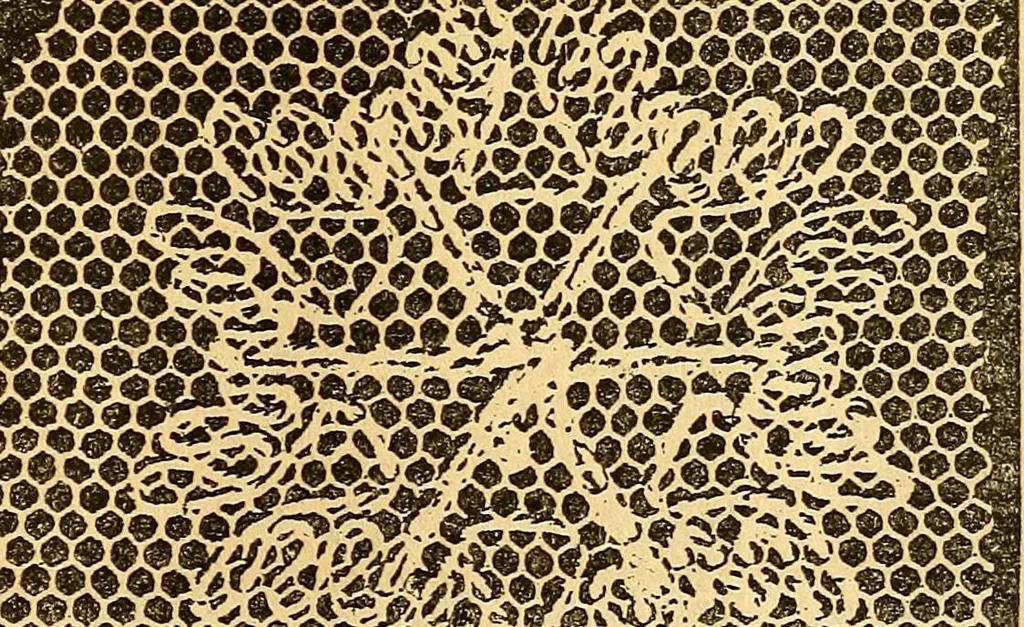 An illustration from Ingalls' hand-book of darned lace patterns .., 1885, leaf 36