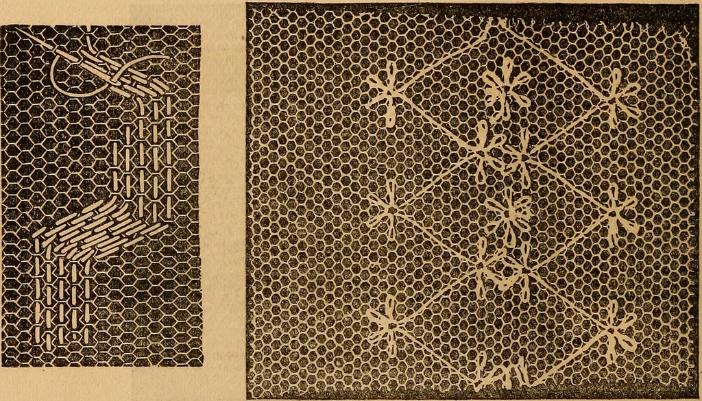 An illustration from Ingalls' hand-book of darned lace patterns .., 1885, leaf 37