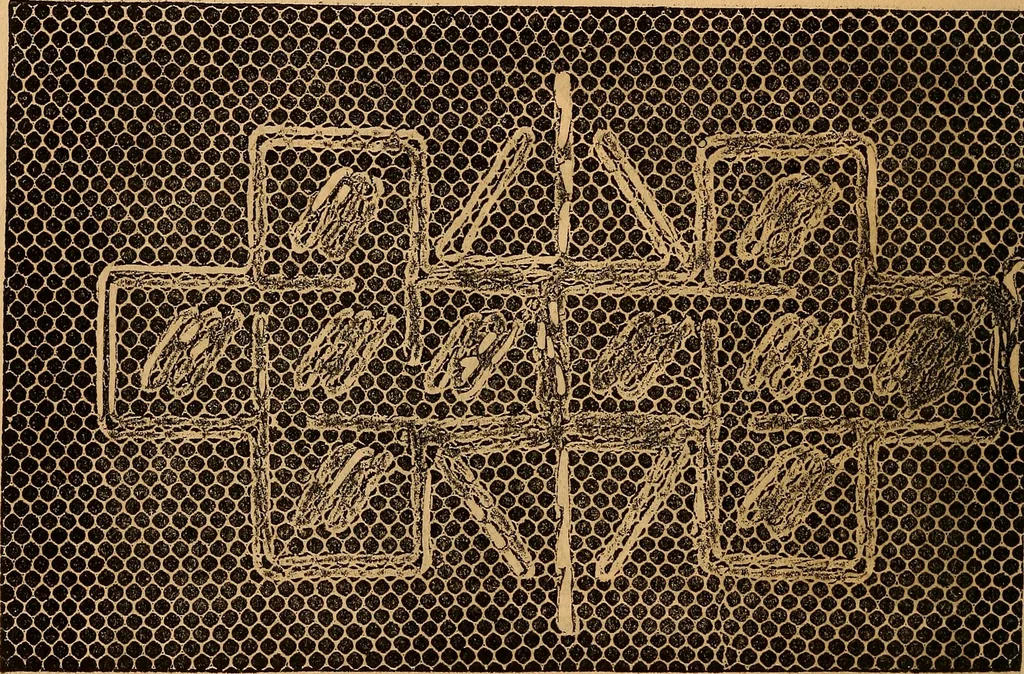 An illustration from Ingalls' hand-book of darned lace patterns .., 1885, leaf 41