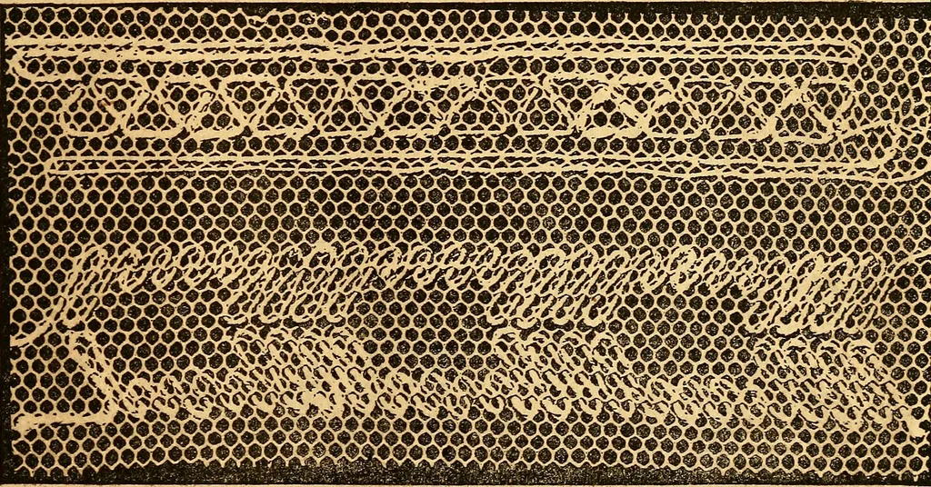 An illustration from Ingalls' hand-book of darned lace patterns .., 1885, leaf 42