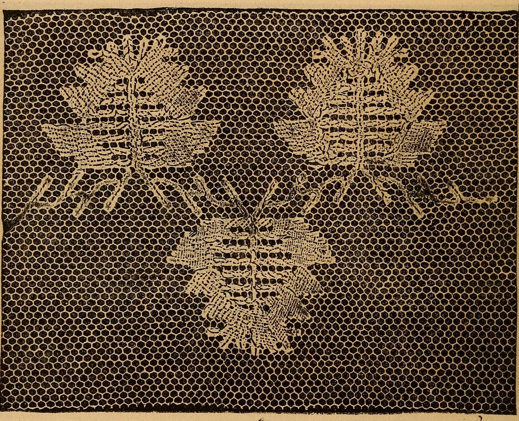 An illustration from Ingalls' hand-book of darned lace patterns .., 1885, leaf 45