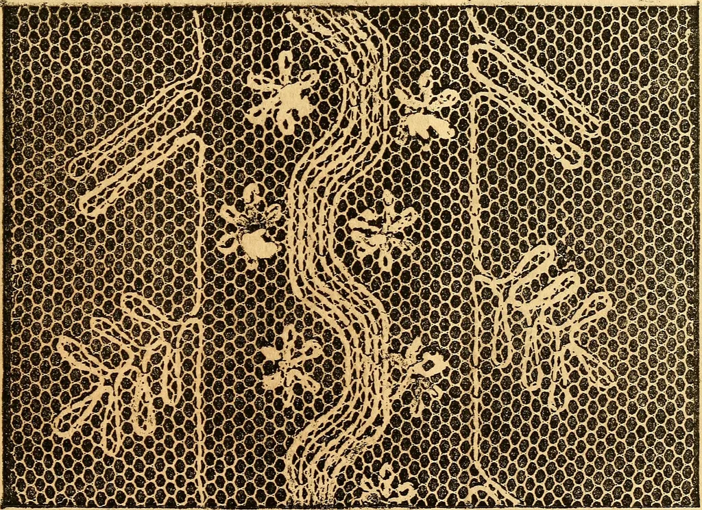 An illustration from Ingalls' hand-book of darned lace patterns .., 1885, leaf 54