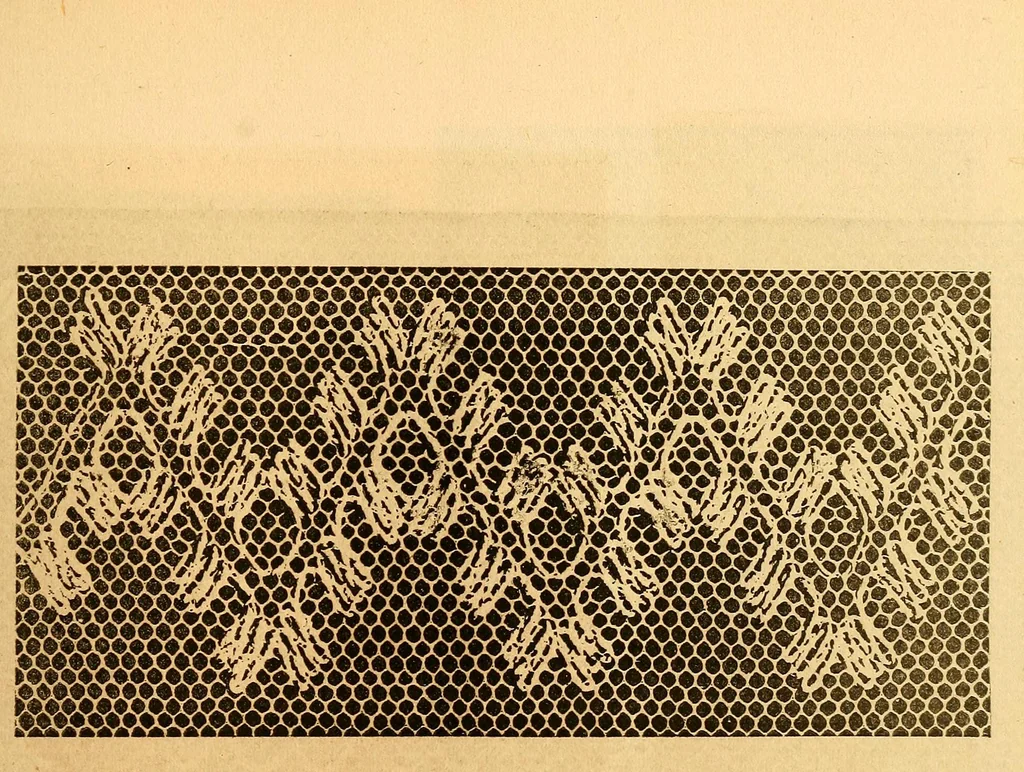 An illustration from Ingalls' hand-book of darned lace patterns .., 1885, leaf 56