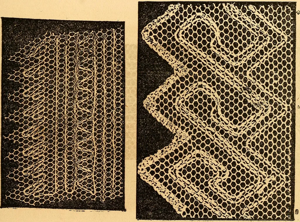 An illustration from Ingalls' hand-book of darned lace patterns .., 1885, leaf 58