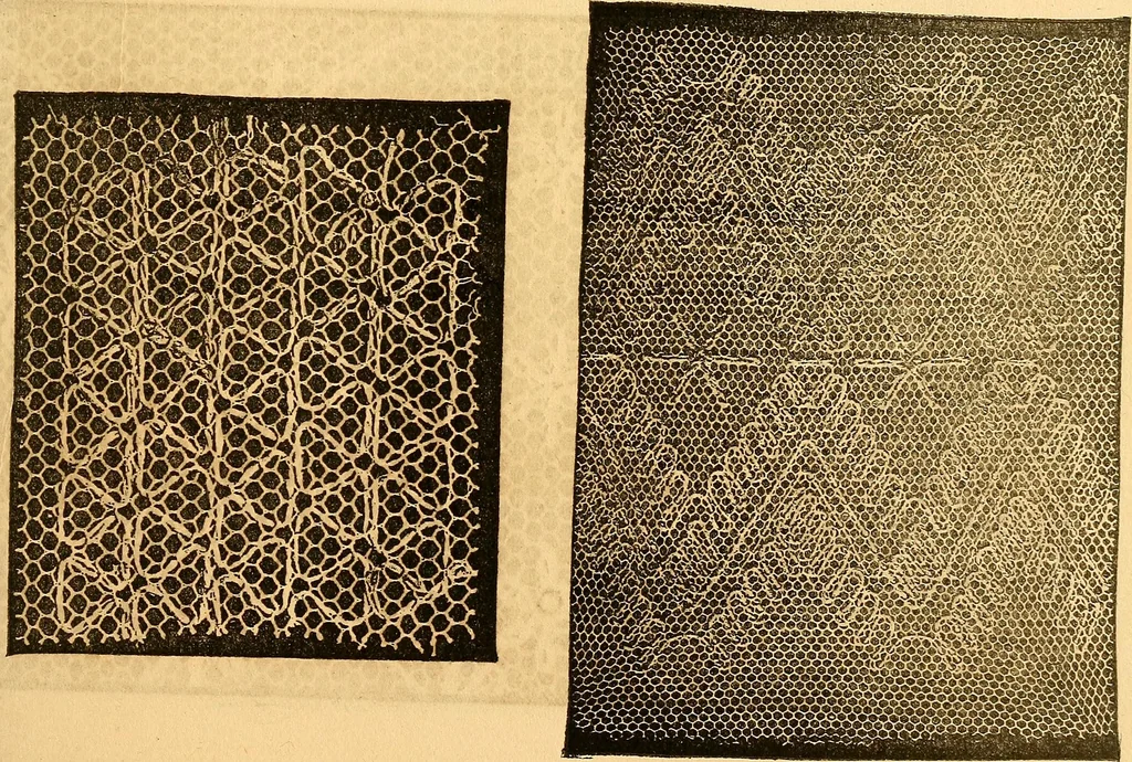 An illustration from Ingalls' hand-book of darned lace patterns .., 1885, leaf 60