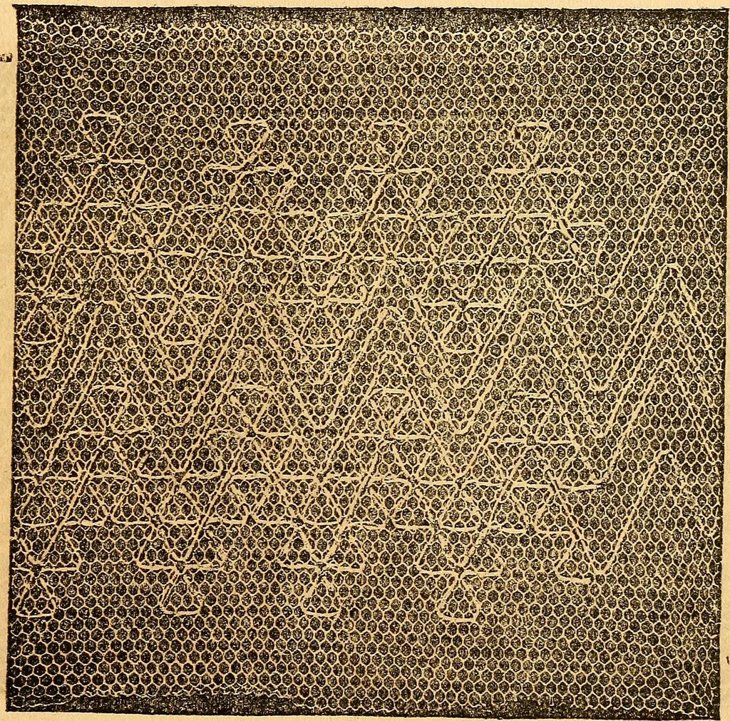 An illustration from Ingalls' hand-book of darned lace patterns .., 1885, leaf 62