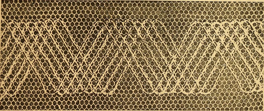 An illustration from Ingalls' hand-book of darned lace patterns .., 1885, leaf 64