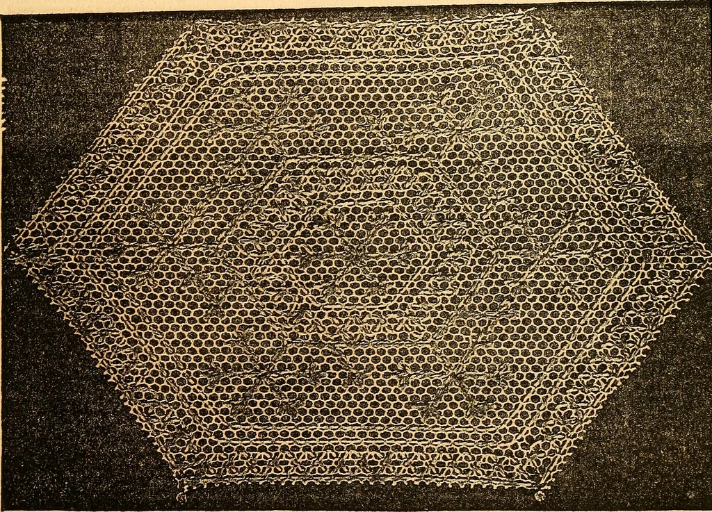 An illustration from Ingalls' hand-book of darned lace patterns .., 1885, leaf 66