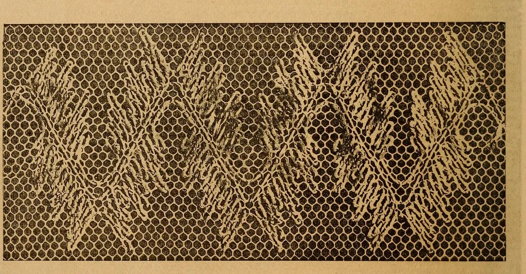 An illustration from Ingalls' hand-book of darned lace patterns .., 1885, leaf 67