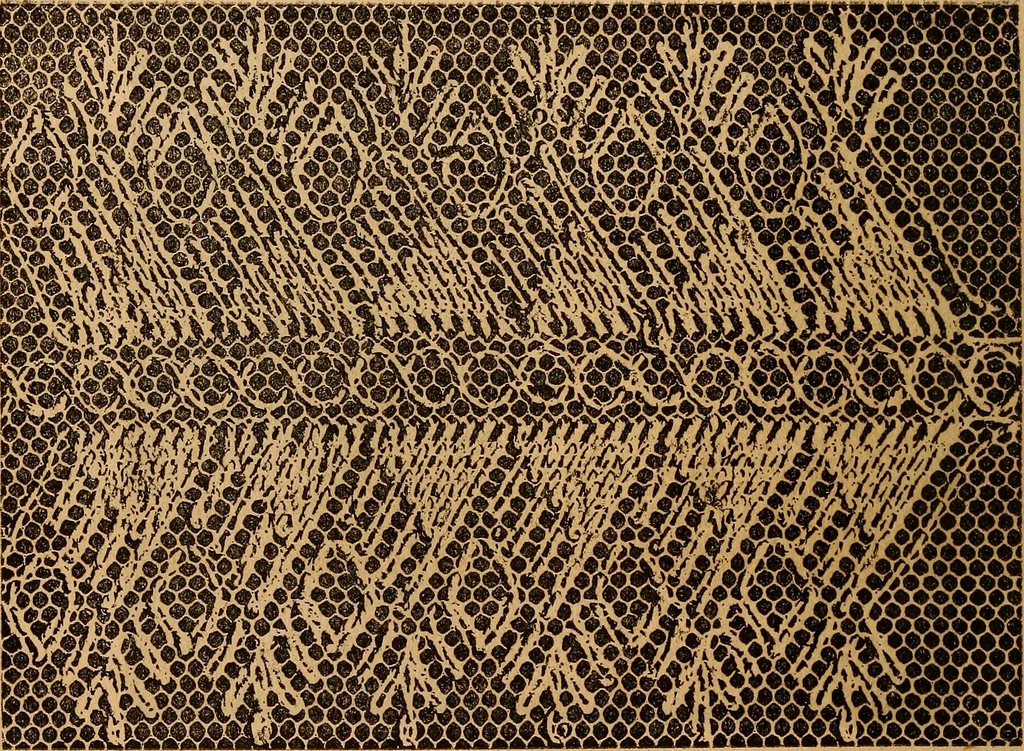 An illustration from Ingalls' hand-book of darned lace patterns .., 1885, leaf 69
