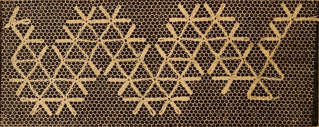An illustration from Ingalls' hand-book of darned lace patterns .., 1885, leaf 71