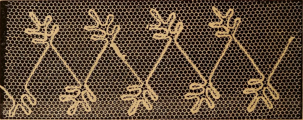 An illustration from Ingalls' hand-book of darned lace patterns .., 1885, leaf 73
