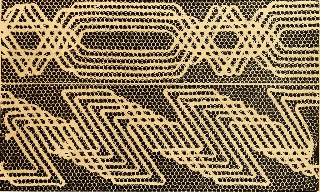 An illustration from Ingalls' hand-book of darned lace patterns .., 1885, leaf 74