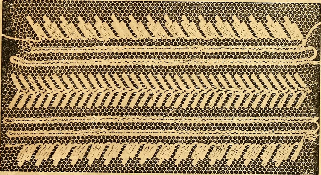An illustration from Ingalls' hand-book of darned lace patterns .., 1885, leaf 76