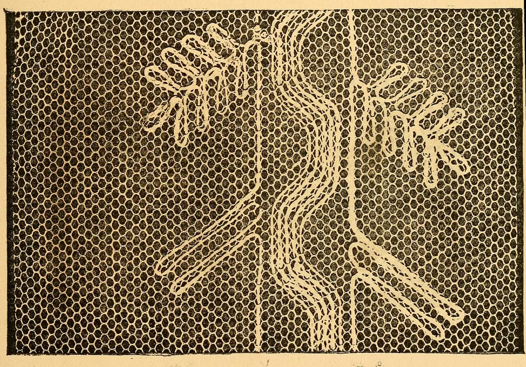 An illustration from Ingalls' hand-book of darned lace patterns .., 1885, leaf 80