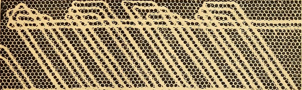 An illustration from Ingalls' hand-book of darned lace patterns .., 1885, leaf 82