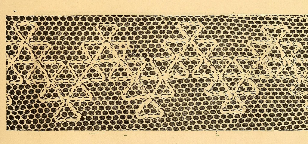 An illustration from Ingalls' hand-book of darned lace patterns .., 1885, leaf 84